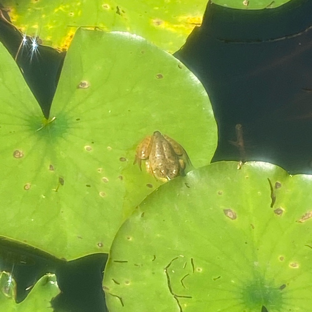 Meet your Posher, Martie